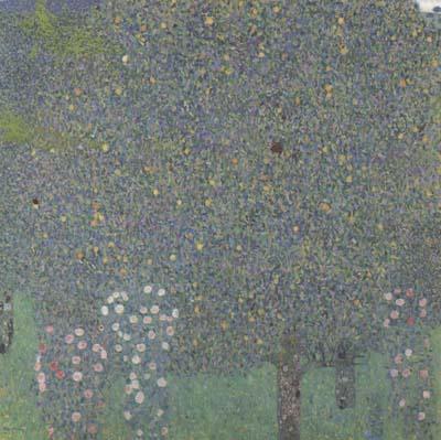 Gustav Klimt Rose Bushes Under the Trees (mk20) Germany oil painting art